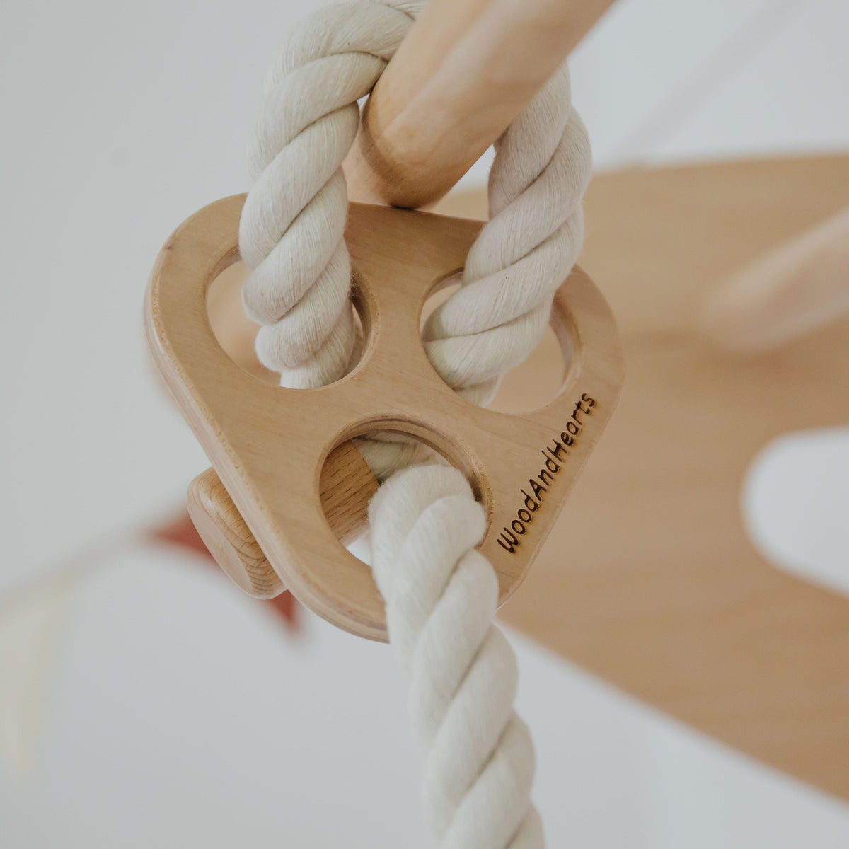 Disc Rope Swing