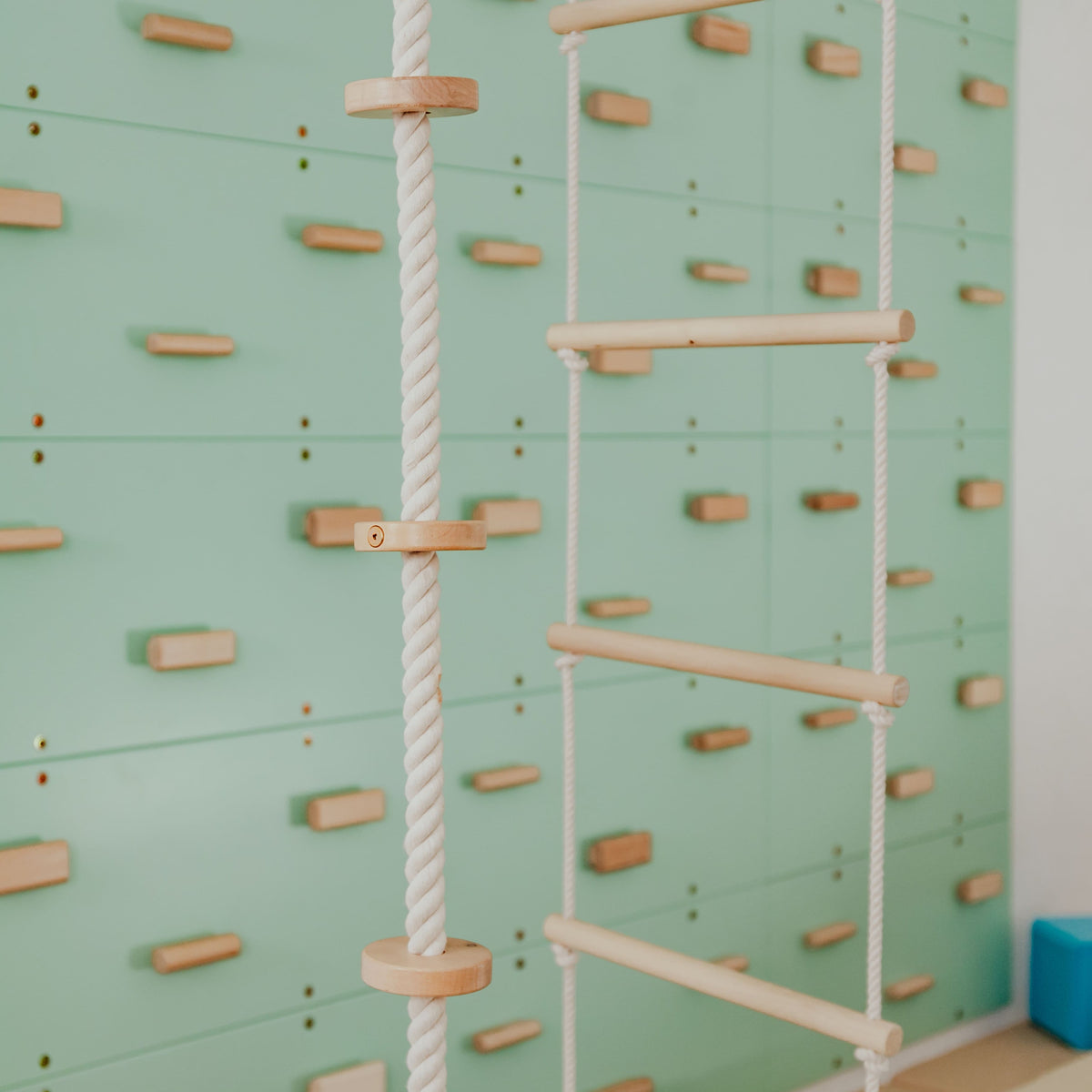 Kids Climbing Ropes