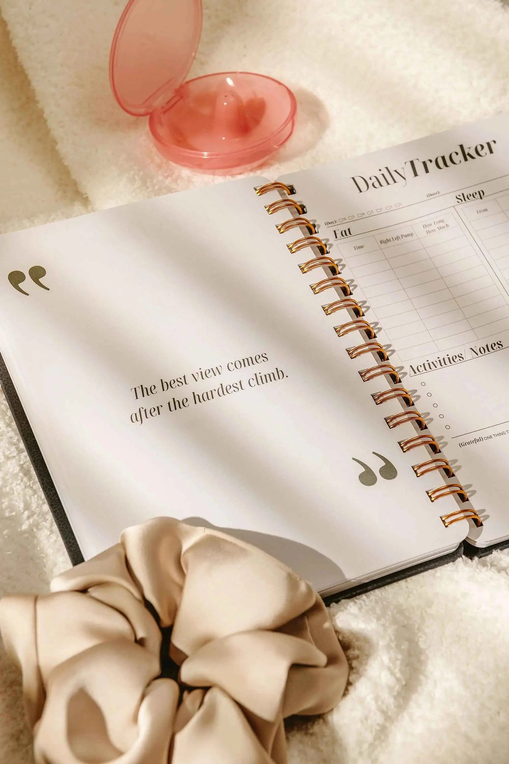 Nipple Shield Case