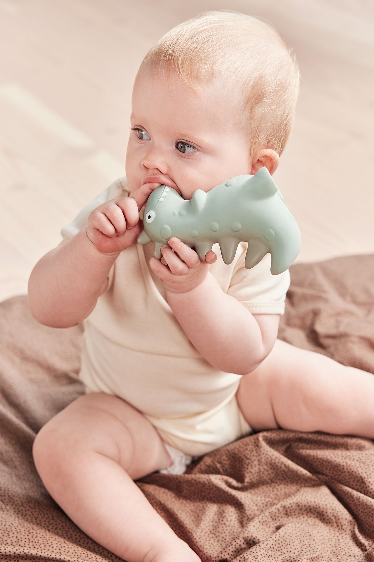 Theo Dino Teether Toys OYOY   