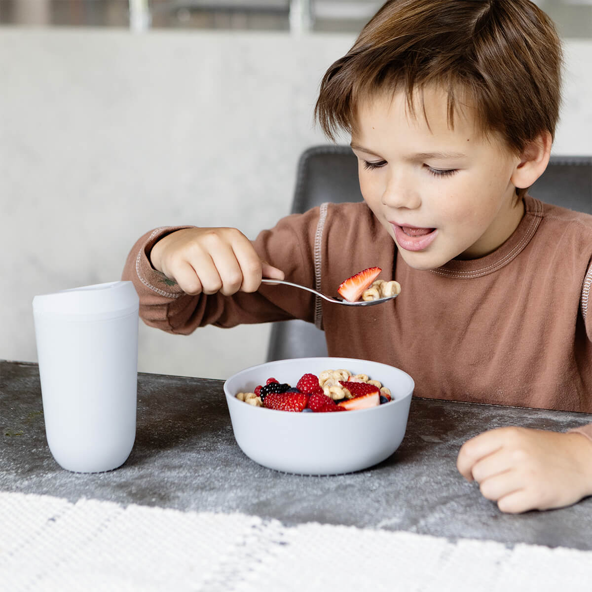 24oz Mealtime Bowl (2-Pack) Retail ezpz   