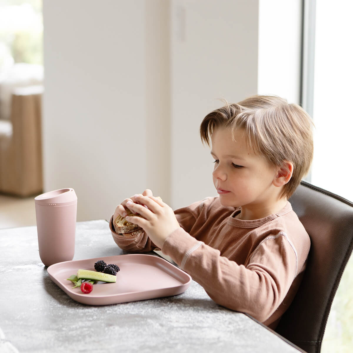 Mealtime Plate (2-Pack) Retail ezpz   