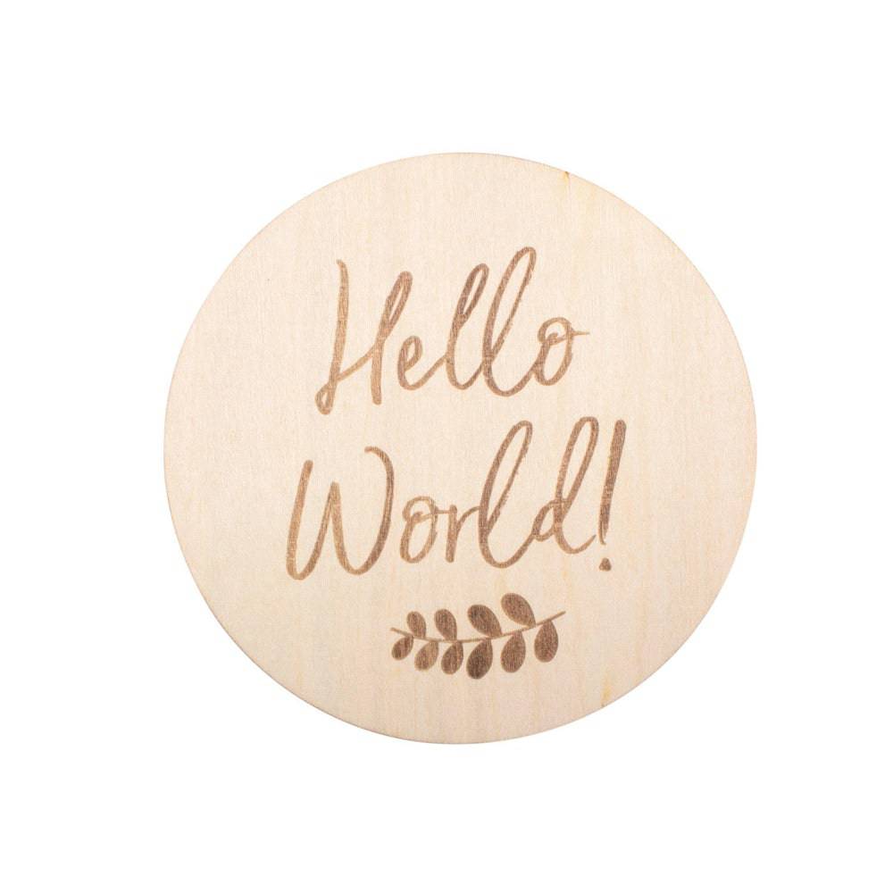 Hello World Milestone Moments Disc Milestone Moments Bebe au Lait   