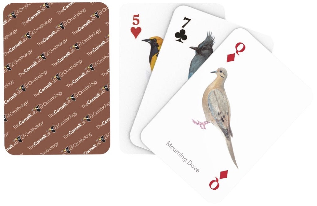 Birds of Western North America Playing Cards