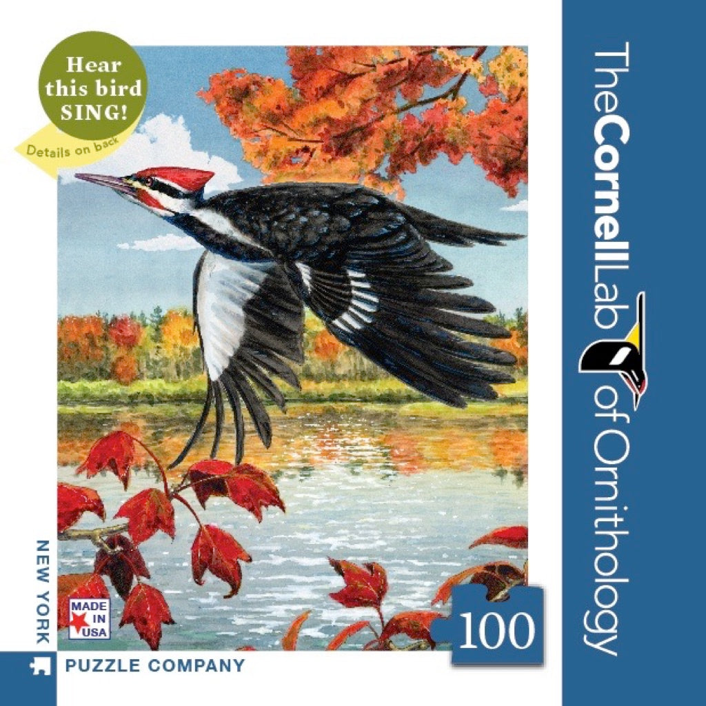 Pileated Woodpecker Mini