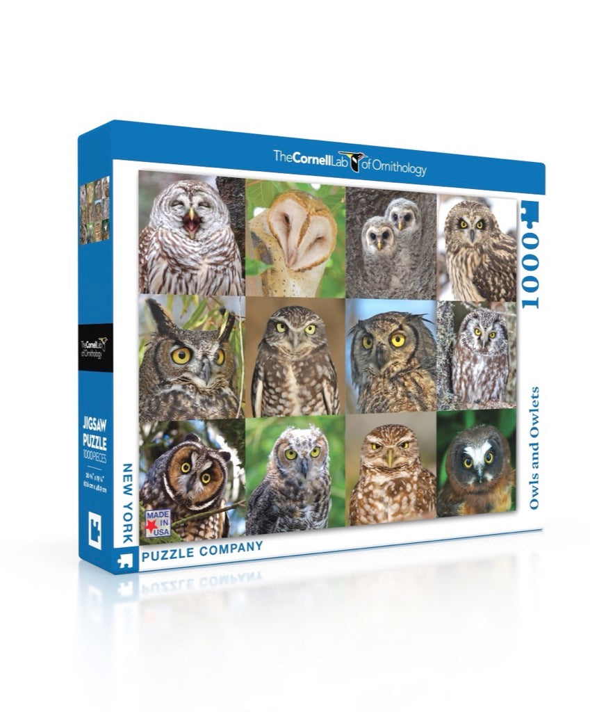 Owls and Owlets