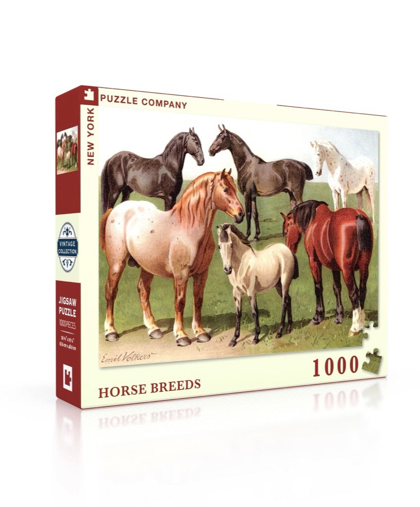 Horse Breeds