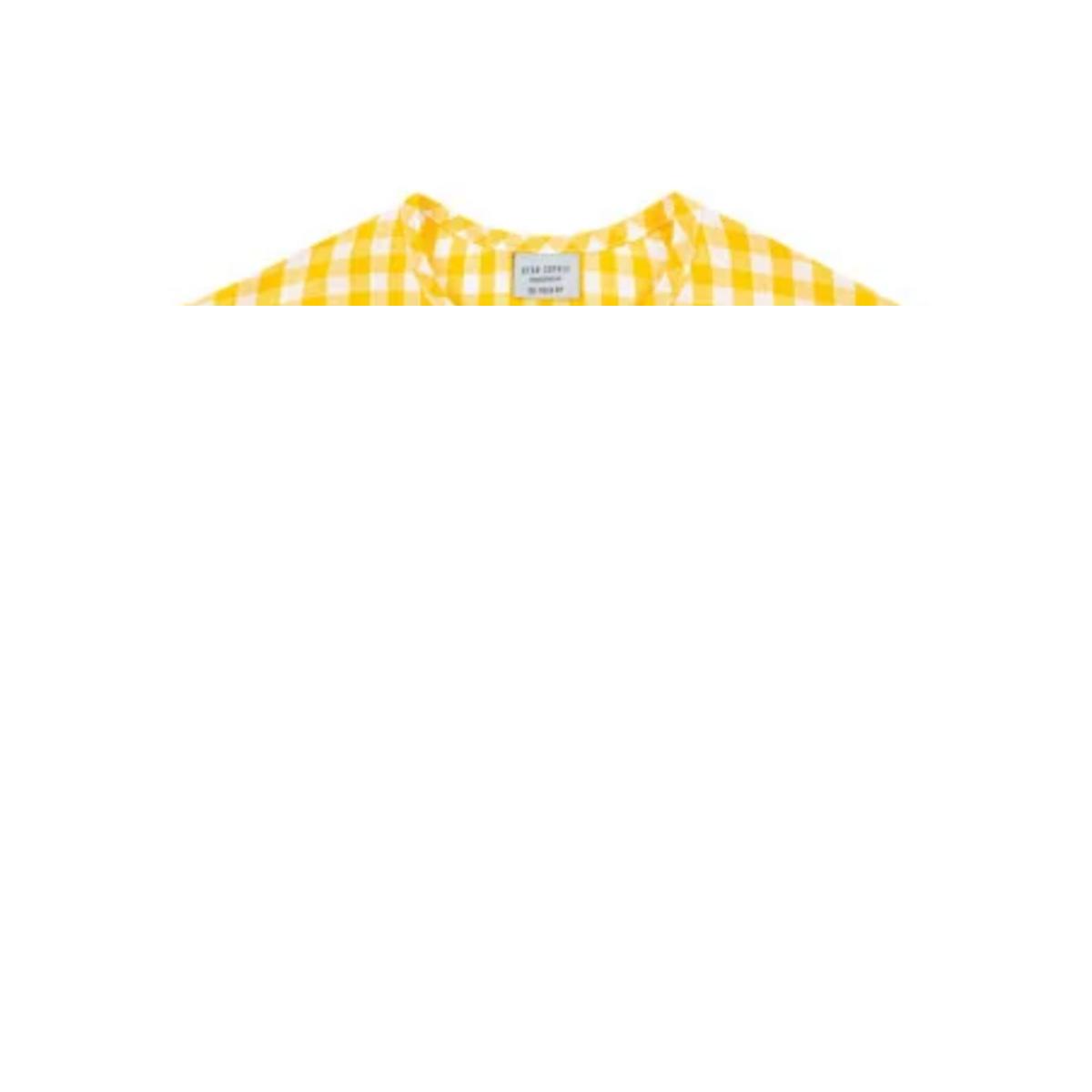 Yellow Gingham Crop Top