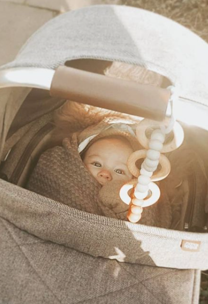 Car Seat Toy - Melrouge