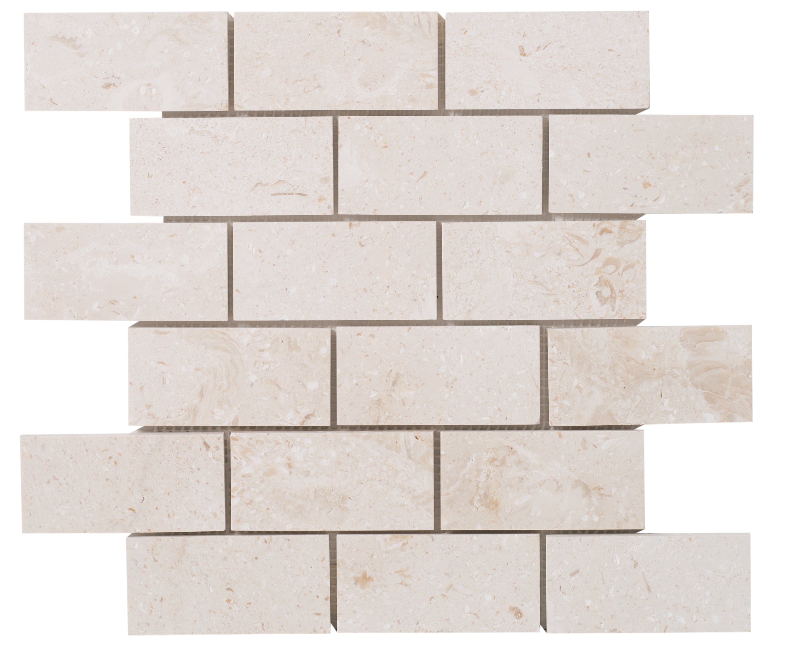 Shell Stone Limestone 2"x4" Brick Honed on 12" x 12" Mesh Mosaic Tile - Belair Collection