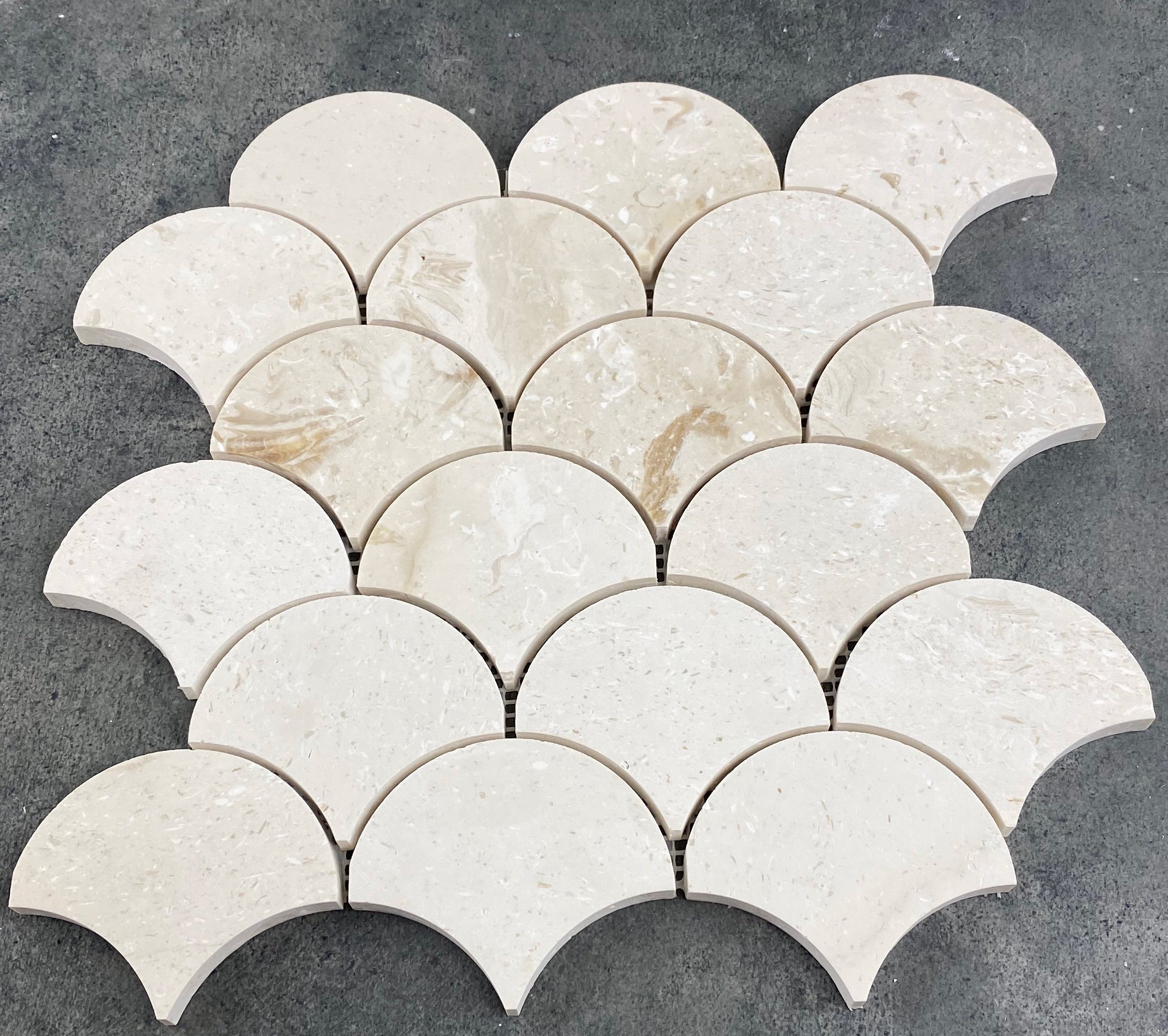 Shell Stone Limestone Laguna Design on 12" x 12" Mesh Mosaic Tile - Belair Collection