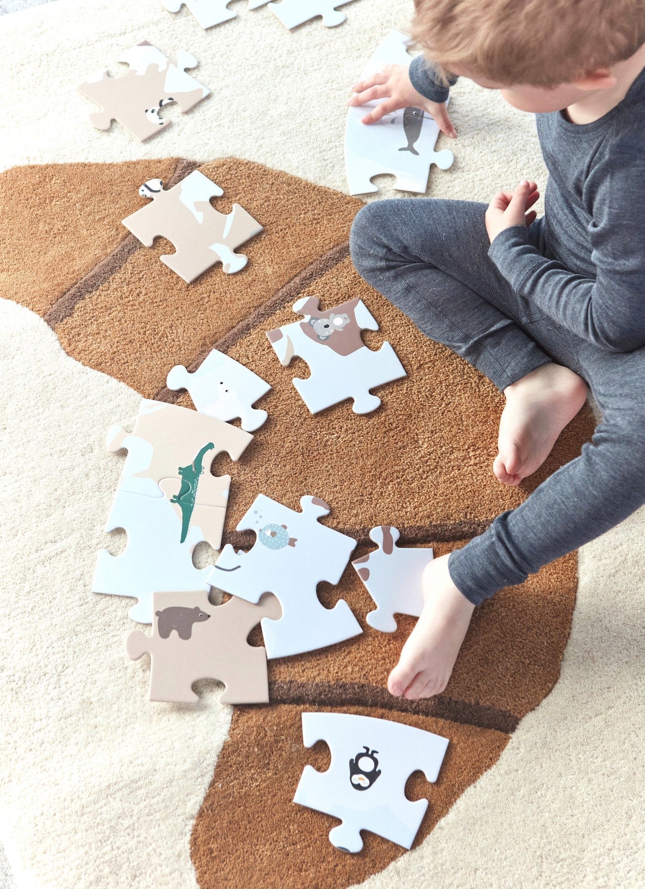 The World Puzzle