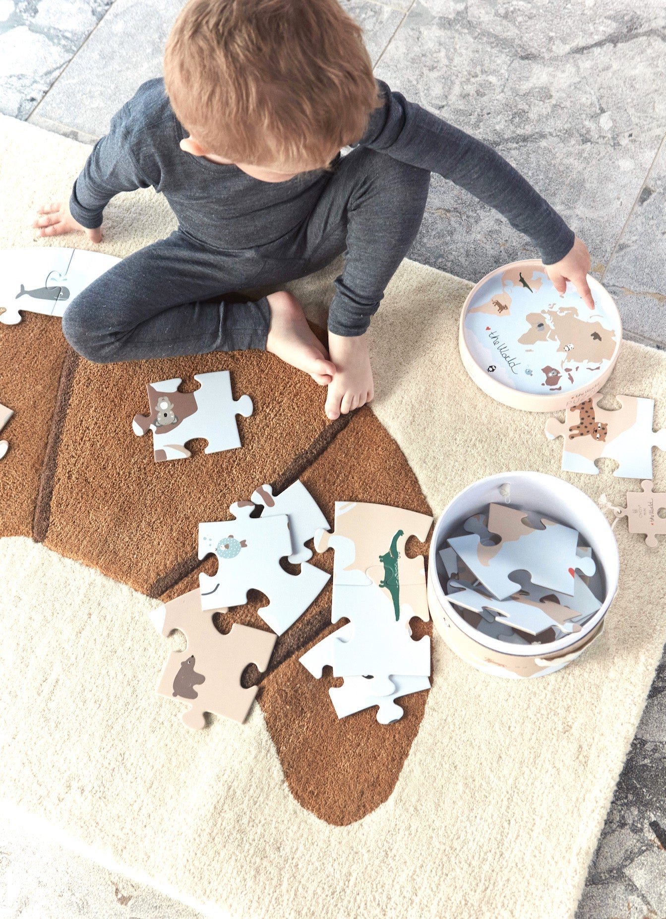 The World Puzzle