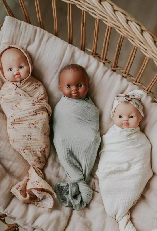 unique and diverse minikane dolls