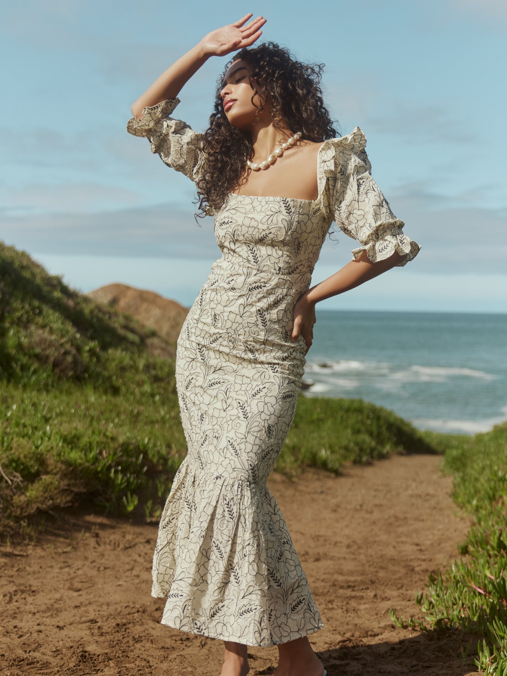 Maggie Embroidered Puff Sleeve Dress - Sand/Moonless Night Floral Outline Embroidery