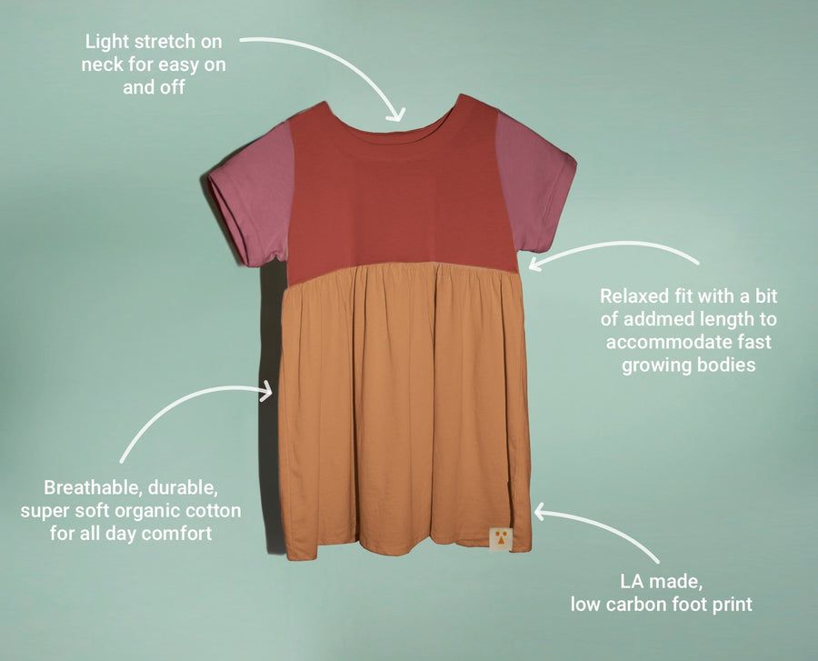Organic Cotton Color Block Dress - brambleberry