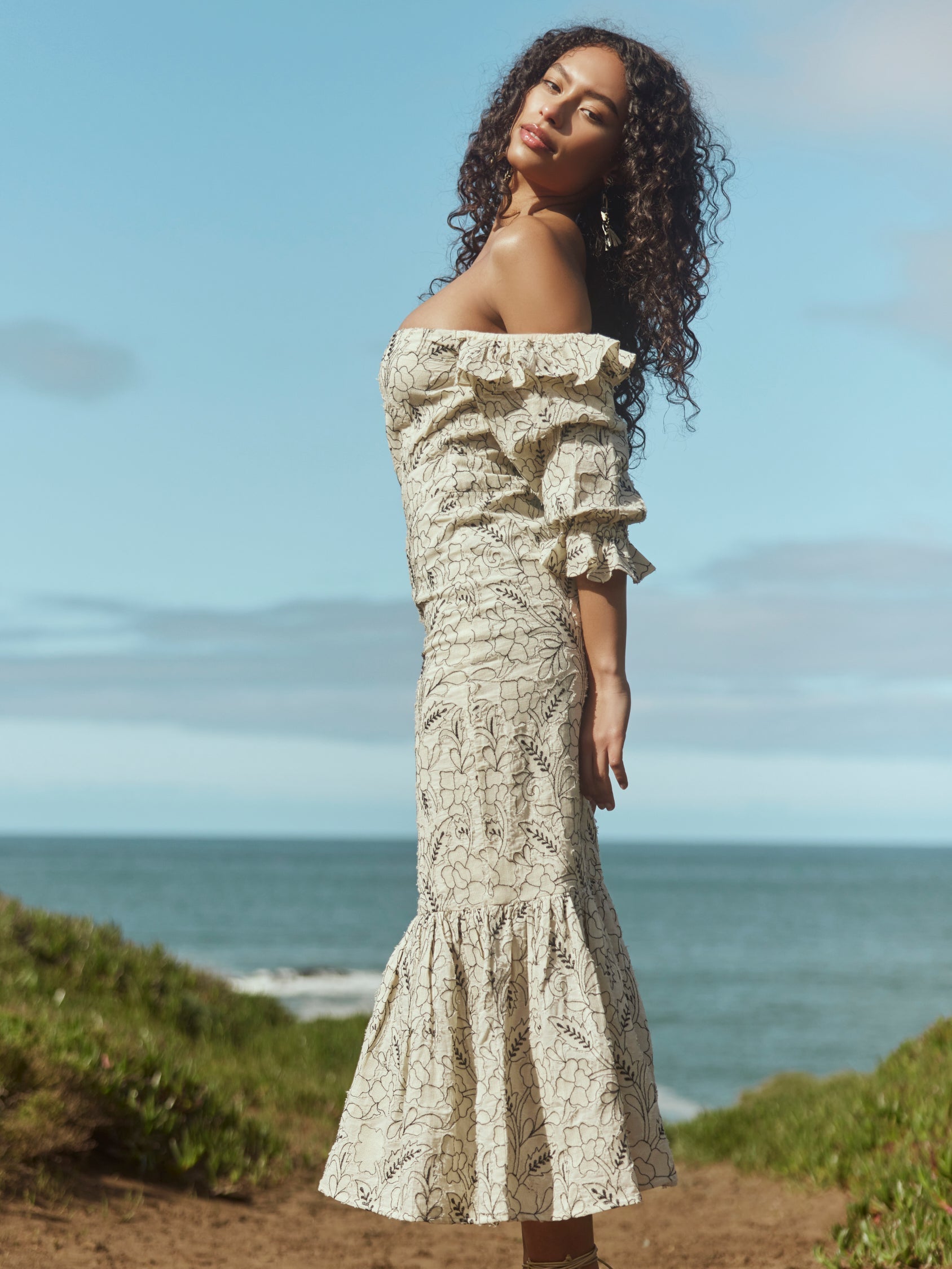 Maggie Embroidered Puff Sleeve Dress - Sand/Moonless Night Floral Outline Embroidery
