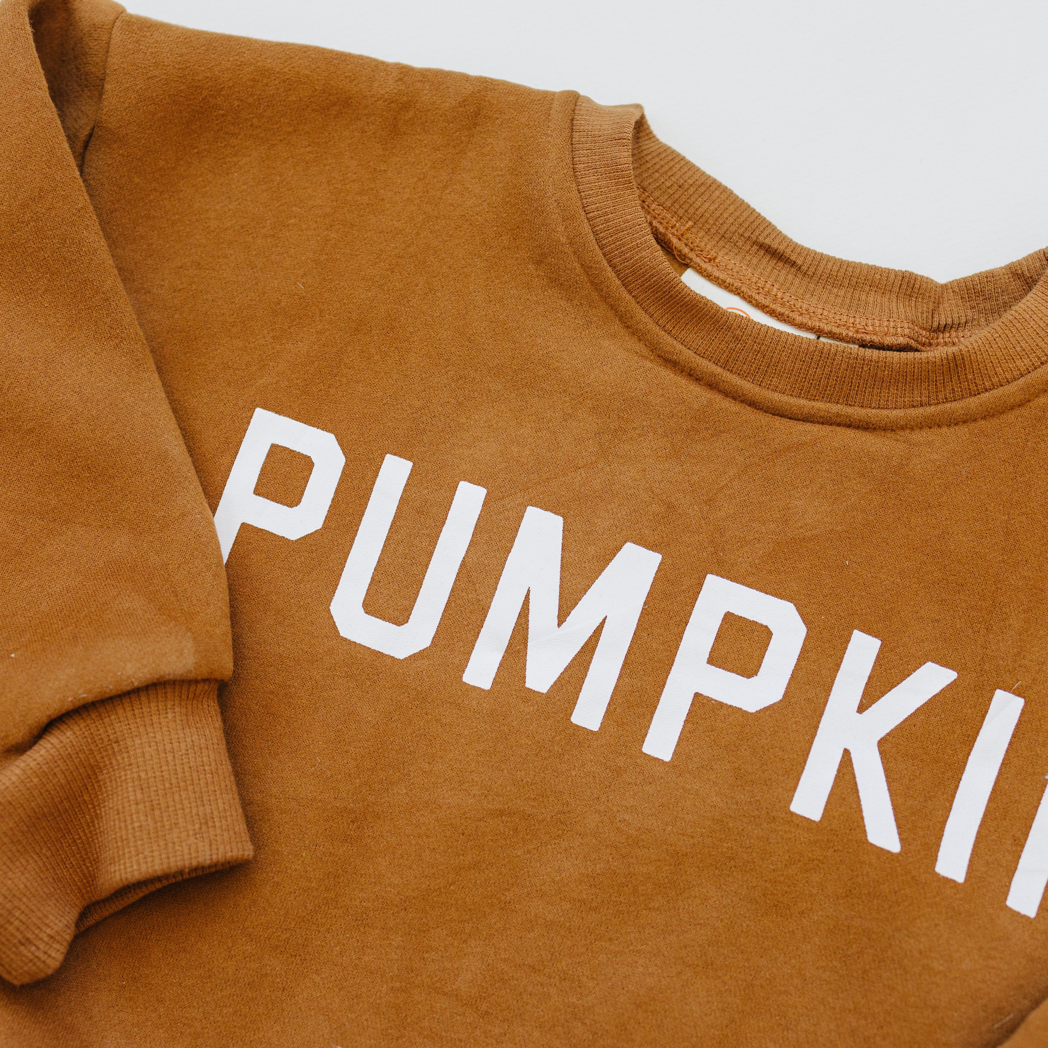 ‘Pumpkin’ Crewneck Sweatshirt