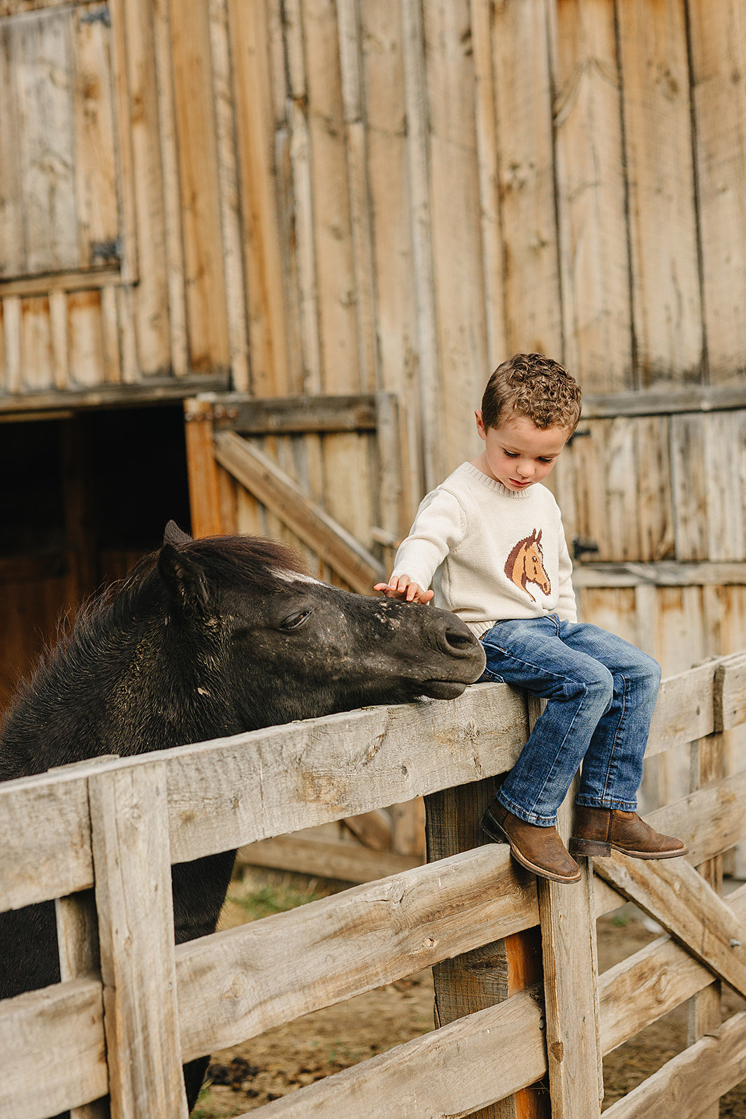 Horse Knit Sweater