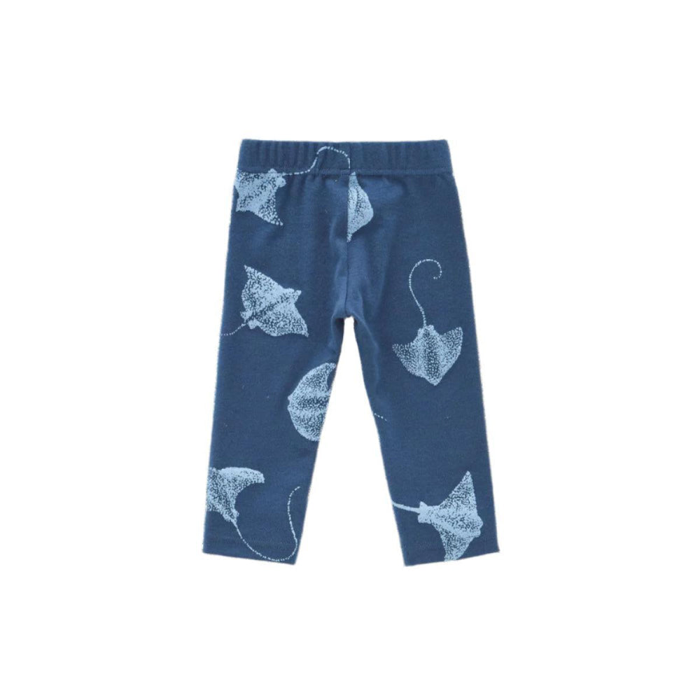 Baby Leggings - Navy