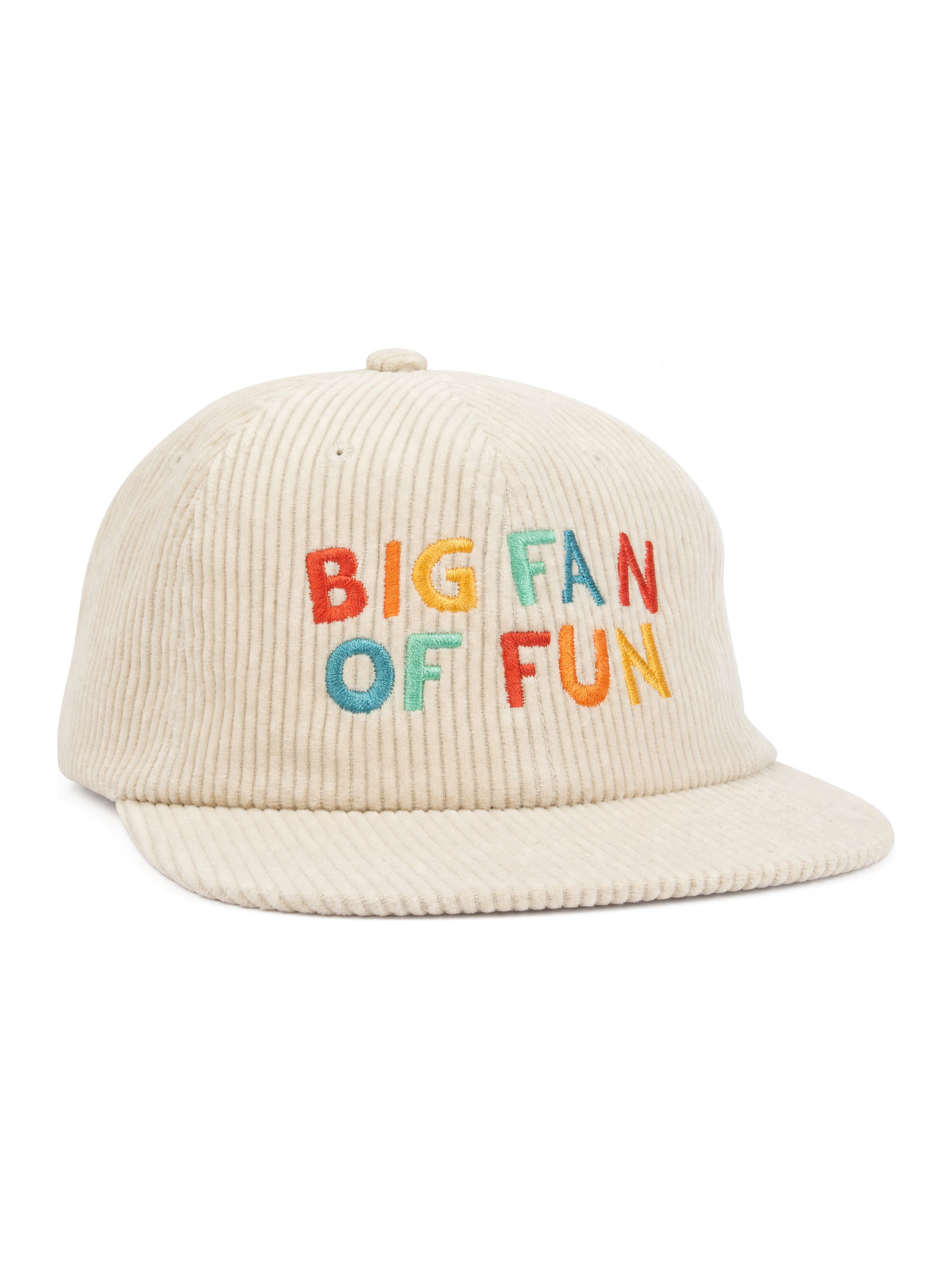 Big Fan Of Fun Hat