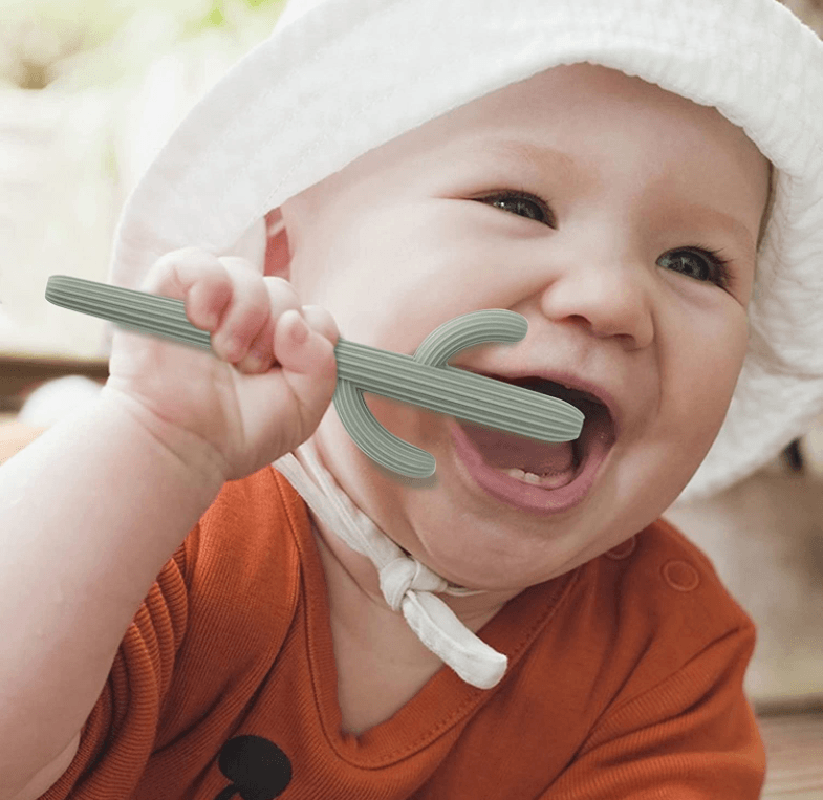 Cactus Silicone Teether & Straw for kids and adults TEETHER MKS Miminoo   