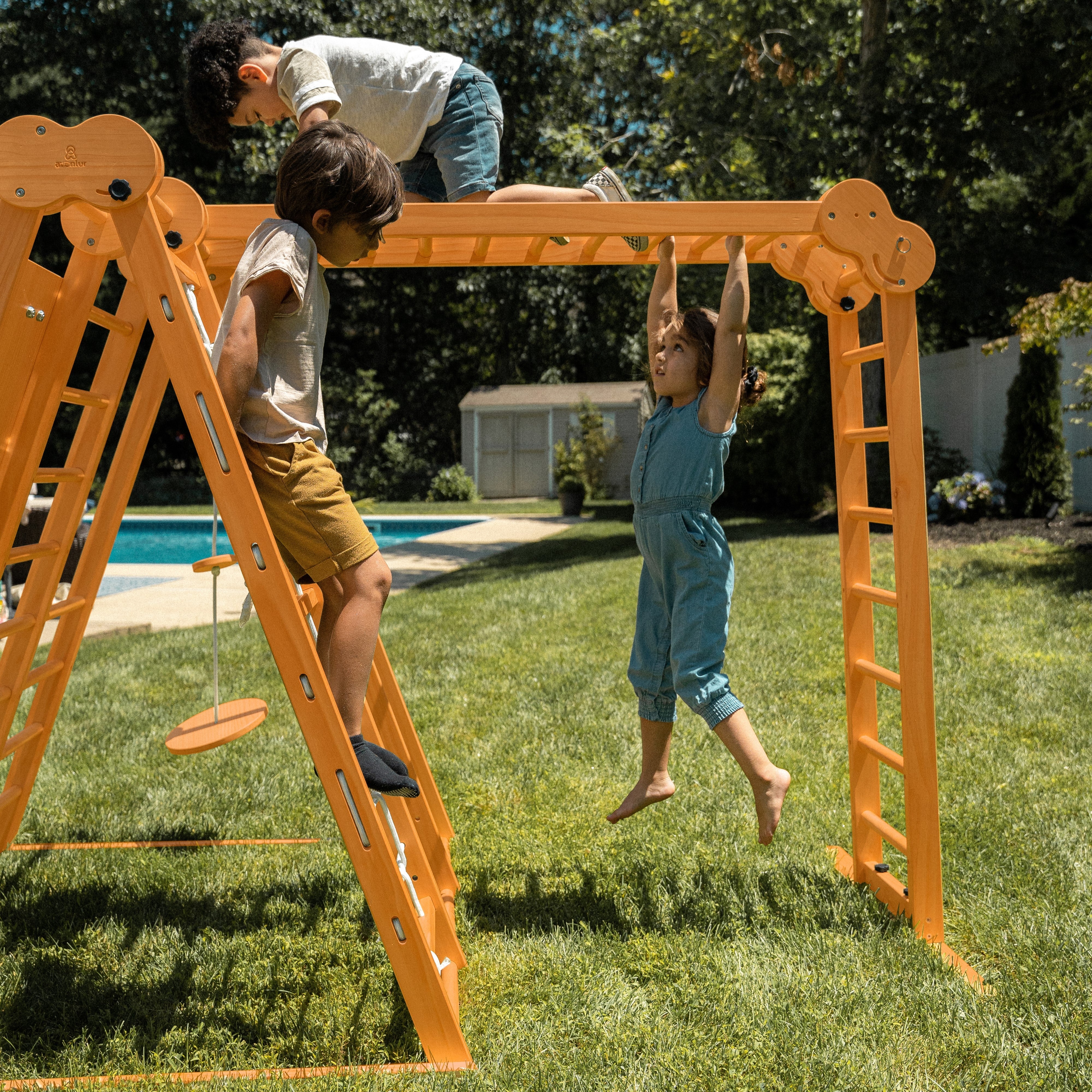 Chestnut - Outdoor and Indoor 8-in-1 Jungle Gym for Toddlers Playset Outdoor Avenlur.com   