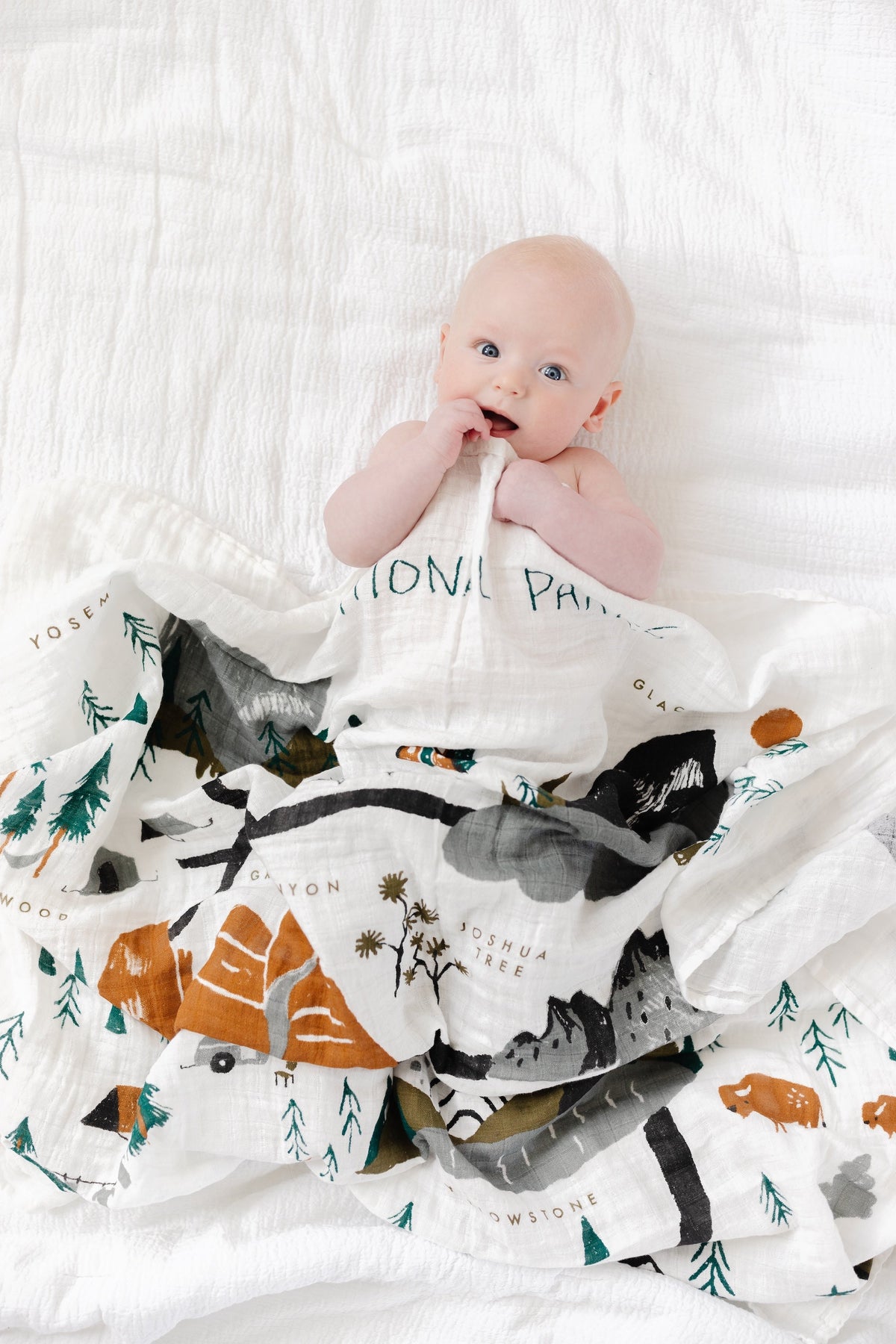National Parks Swaddle