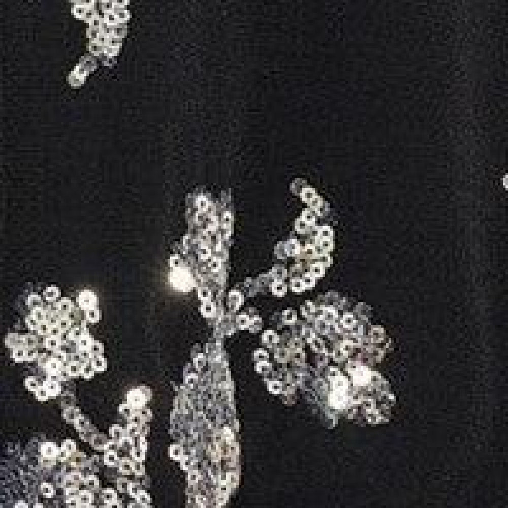 Embroidered Top - Black
