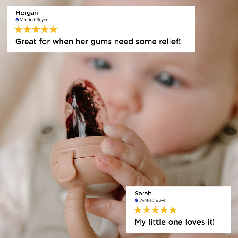 Forage Baby Food Feeder