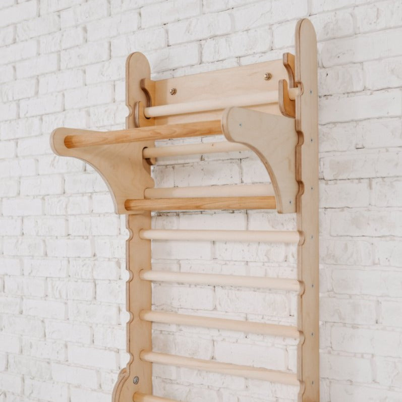 Gym Addition to the Climbing Ladders Ladder Accessories Goodevas   