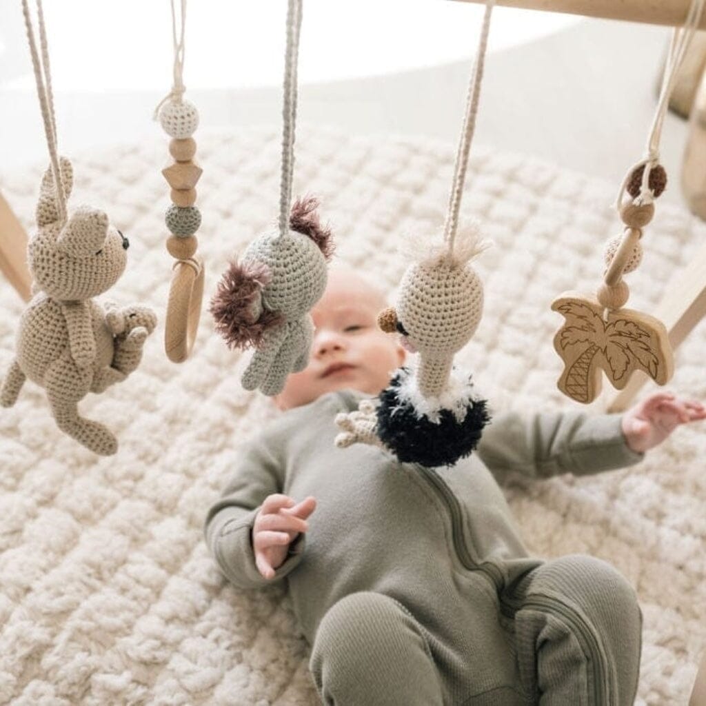 Handmade Crochet Toys for Baby Gym | Australian friends