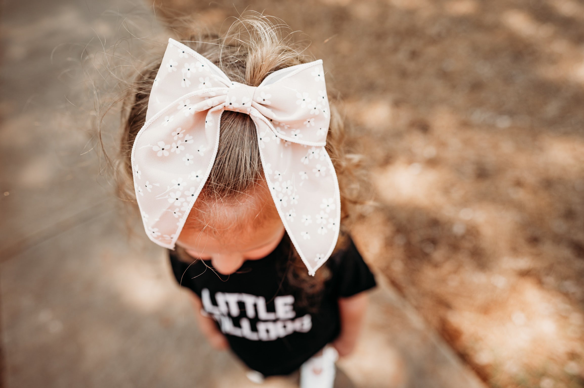 Little Love Bug Bows