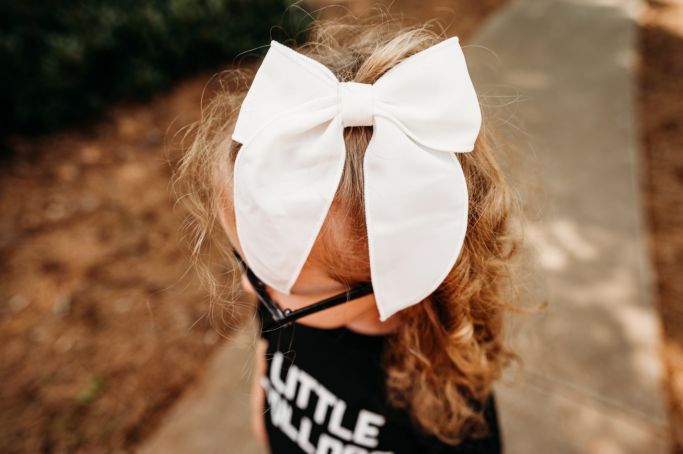 Little Love Bug Bows