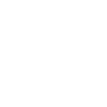 Little Wonder & Co. logo