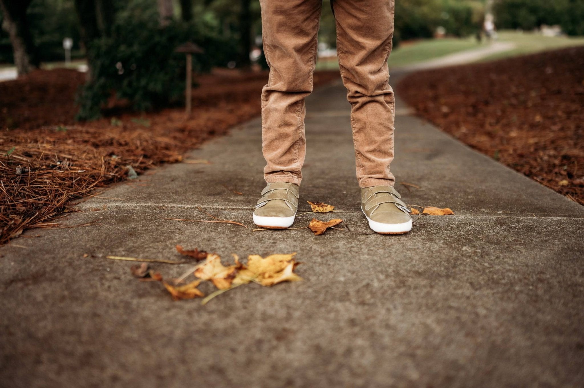Army Green Low Tops Discontinued