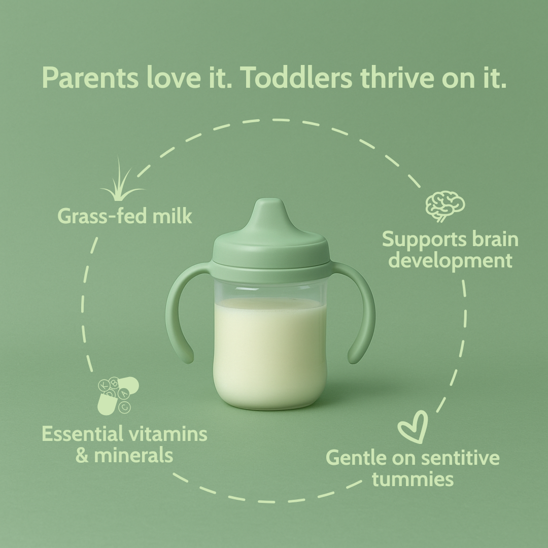 Intro - Holle Goat Milk Toddler Drink - Stage 3 | Non GMO (14 oz)