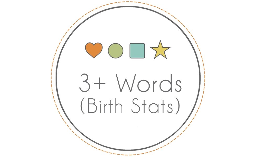 Personalization - 3+ Words / Birth Stats PERSONALIZATION Bannor Toys   