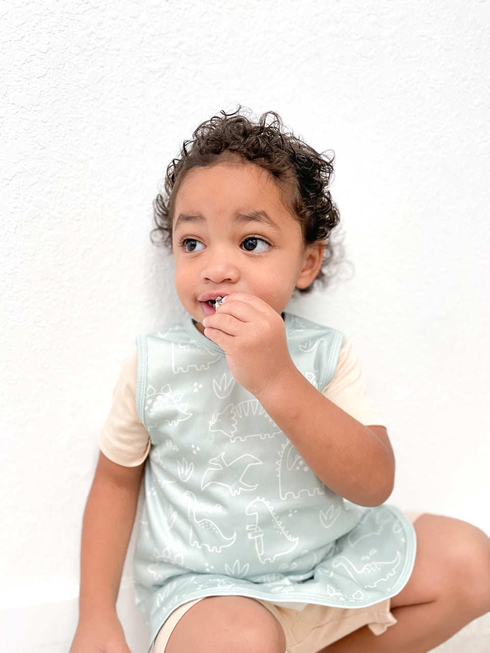 Dino Friends - Sage Bapron SALE **PRESCHOOL SIZE ONLY**