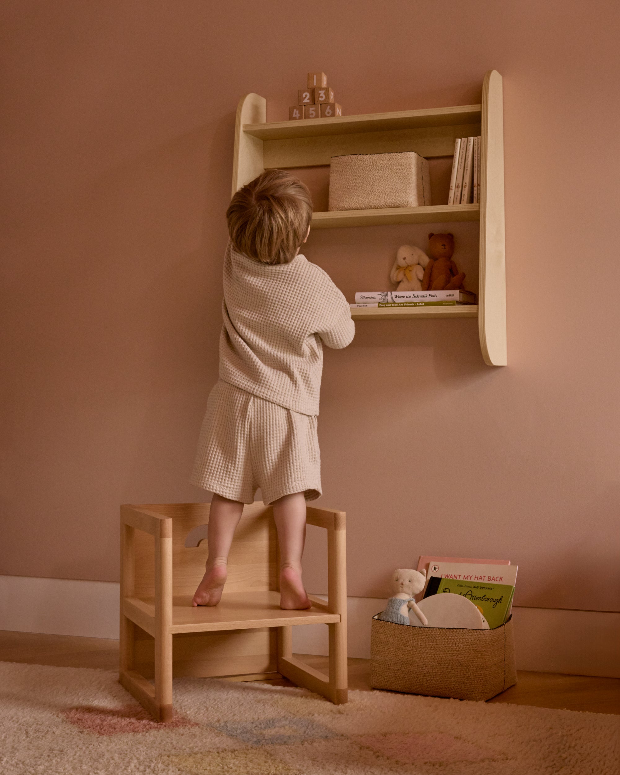 Wall Shelf
