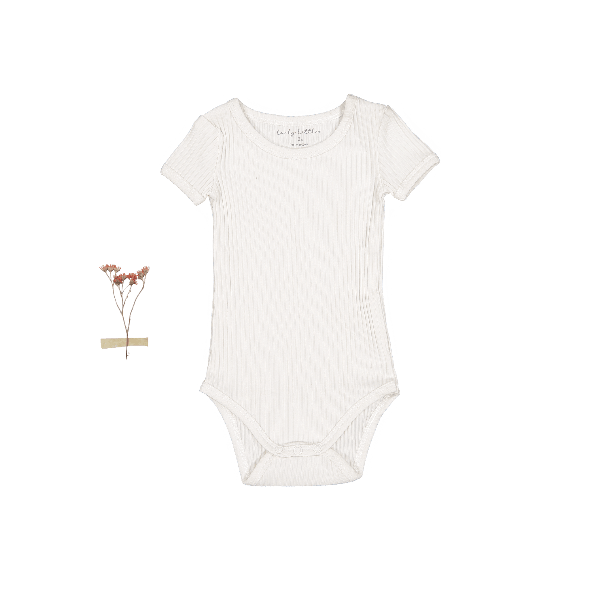 The Short Sleeve Onesie - Pearl Short Sleeve Onesie Lovely Littles   