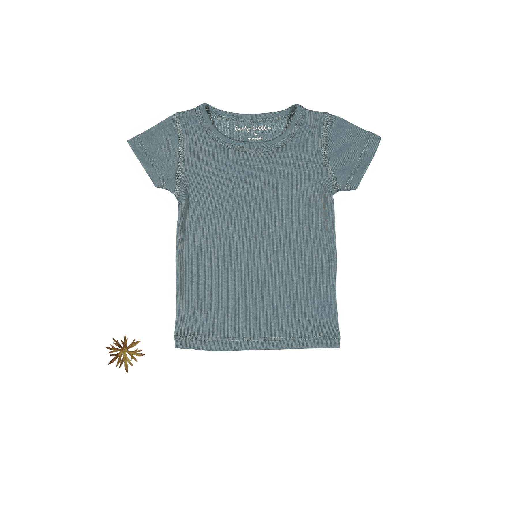 The Short Sleeve Tee - Fern