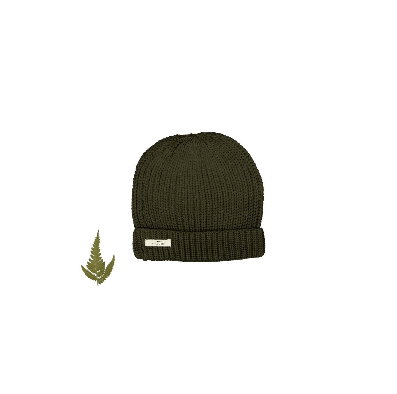 The Chunky Knit Hat - Moss Knit Hat Lovely Littles   