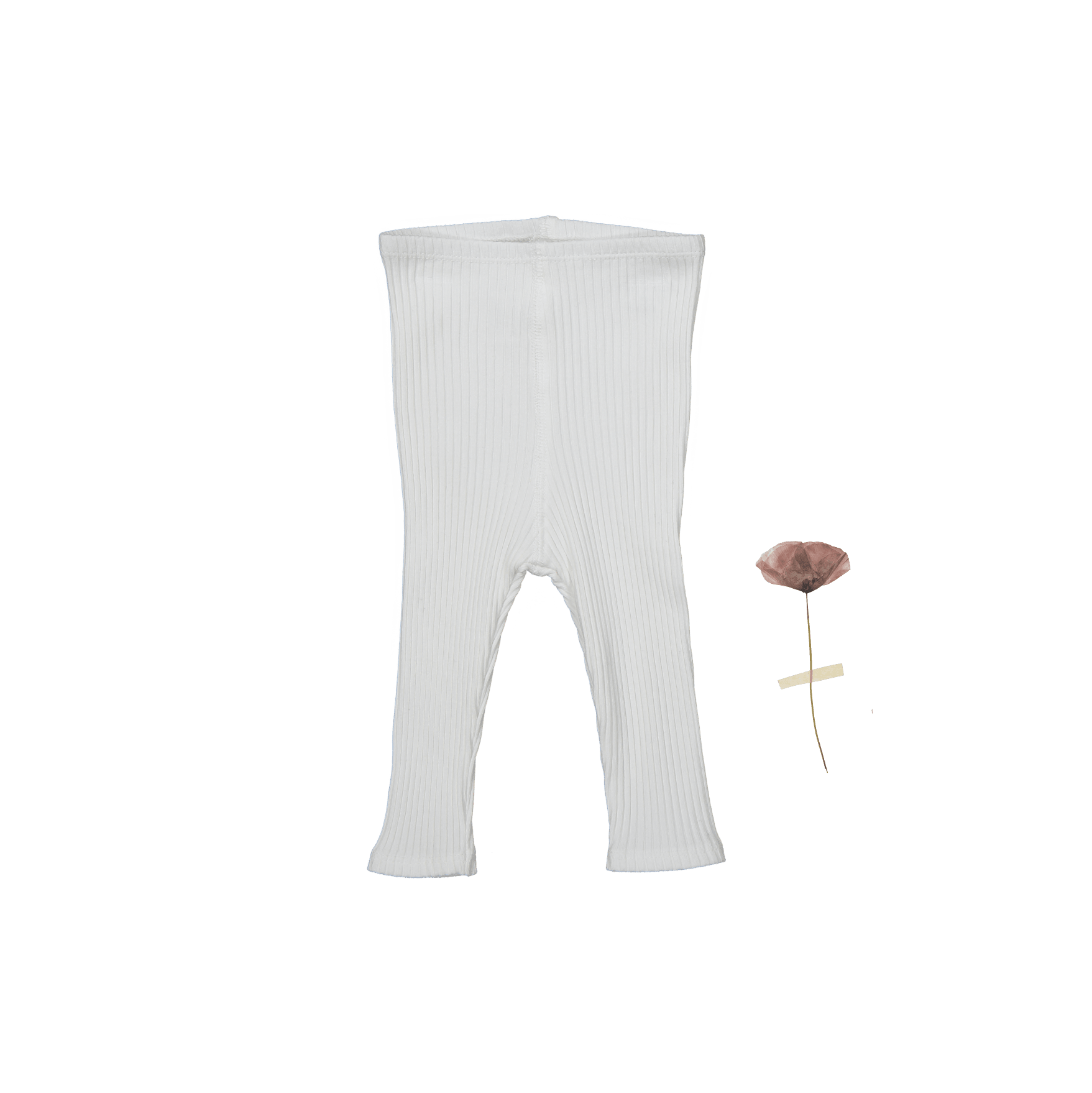 The Legging - Bone Leggings Lovely Littles   