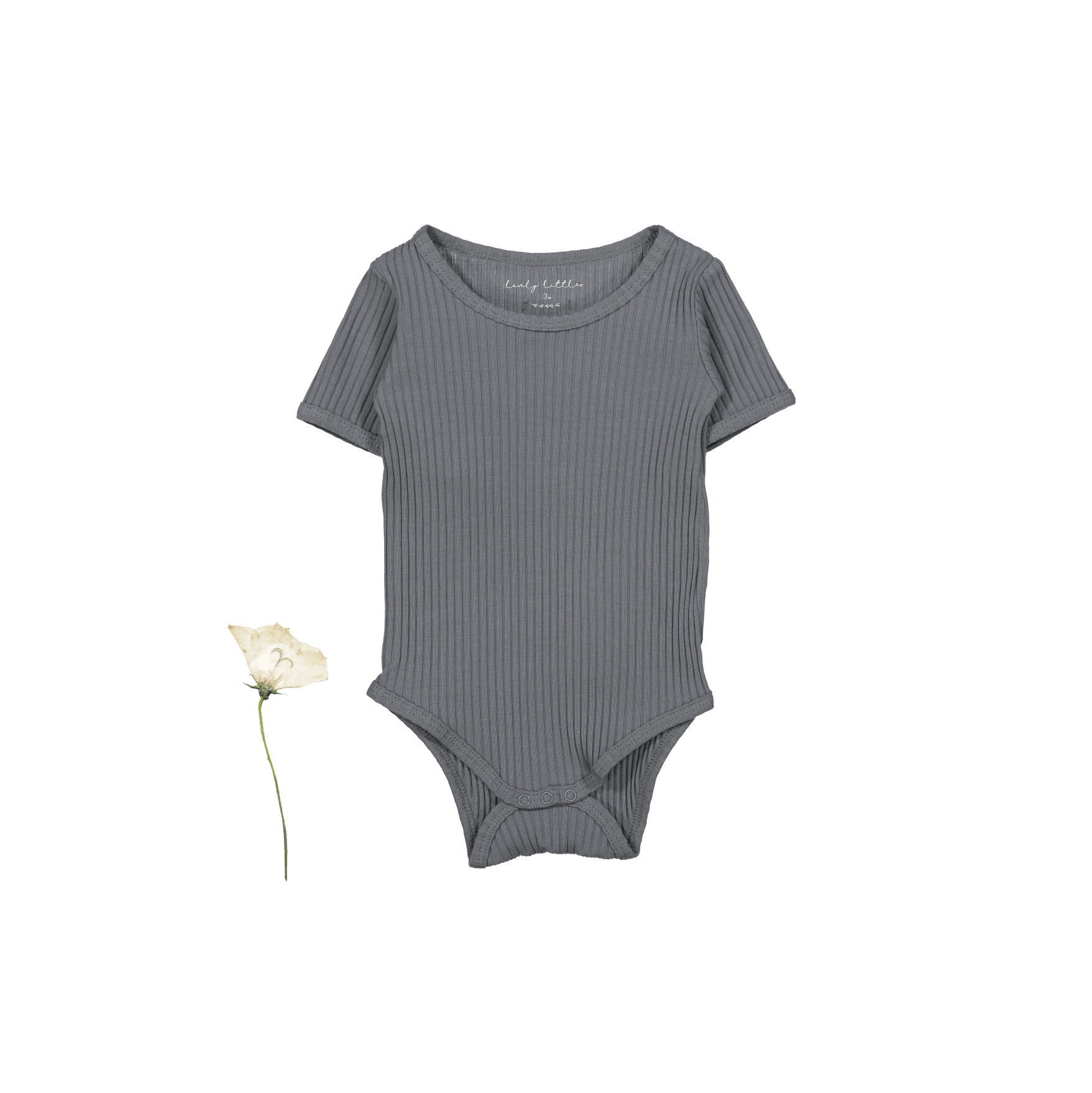 The Short Sleeve Onesie - Slate Short Sleeve Onesie Lovely Littles   