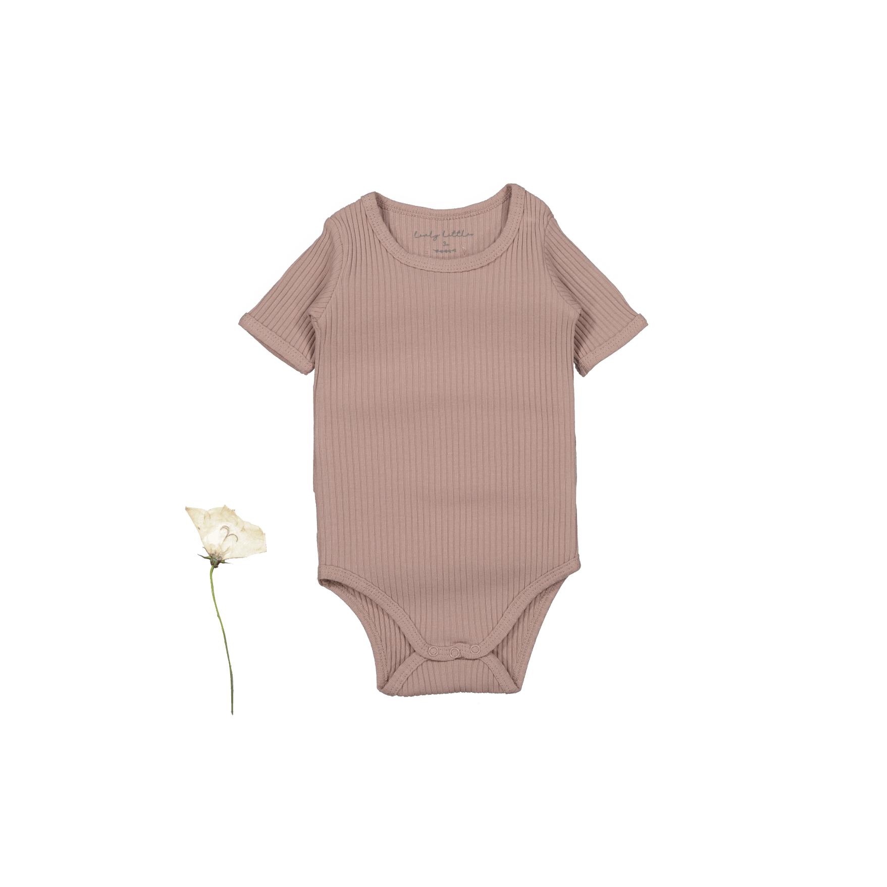 The Short Sleeve Onesie - Mauve Short Sleeve Onesie Lovely Littles   