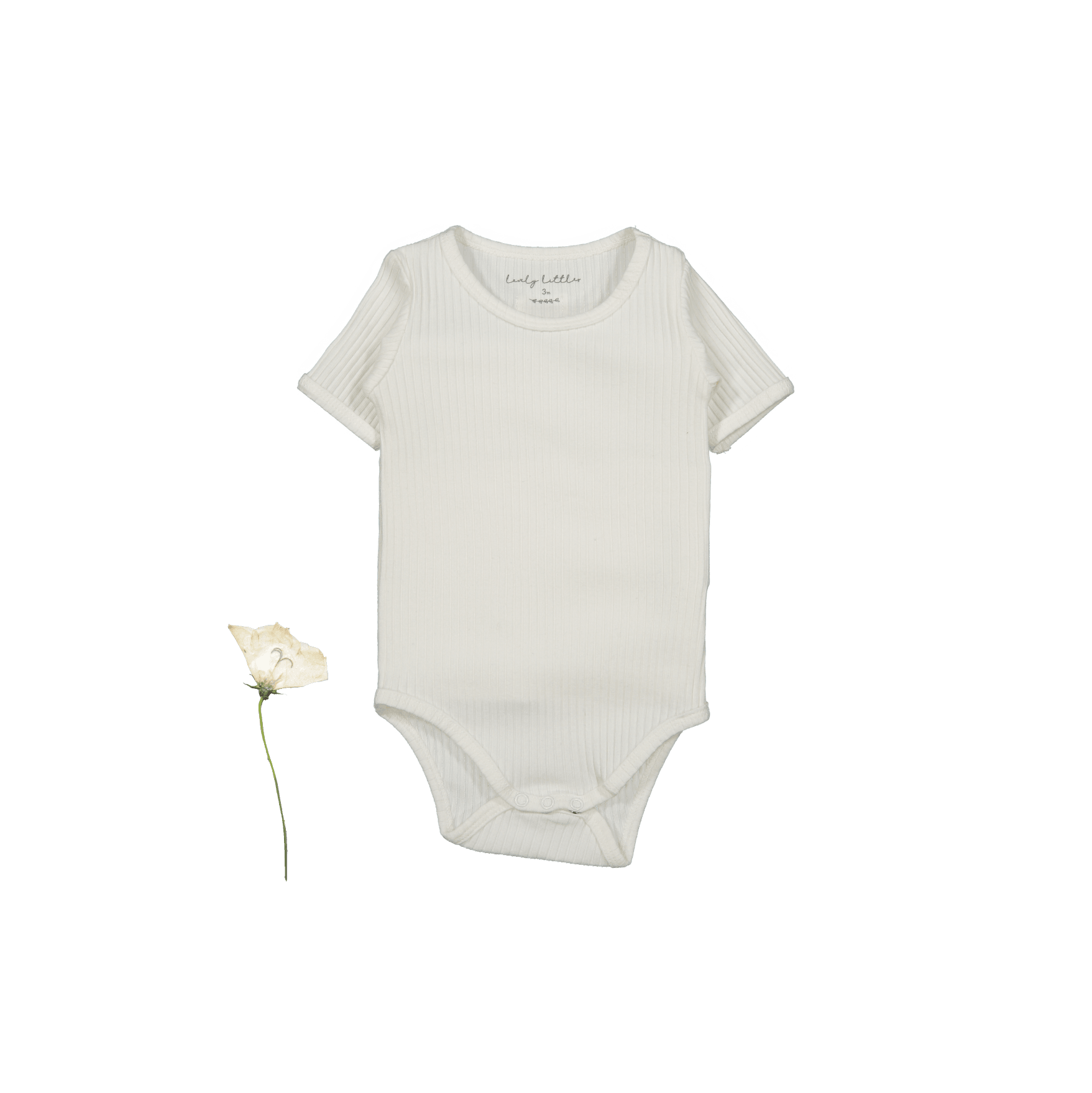 The Short Sleeve Onesie - Bone Short Sleeve Onesie Lovely Littles   