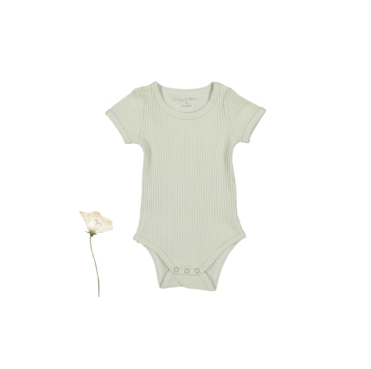 The Short Sleeve Onesie - Mist Short Sleeve Onesie Lovely Littles   