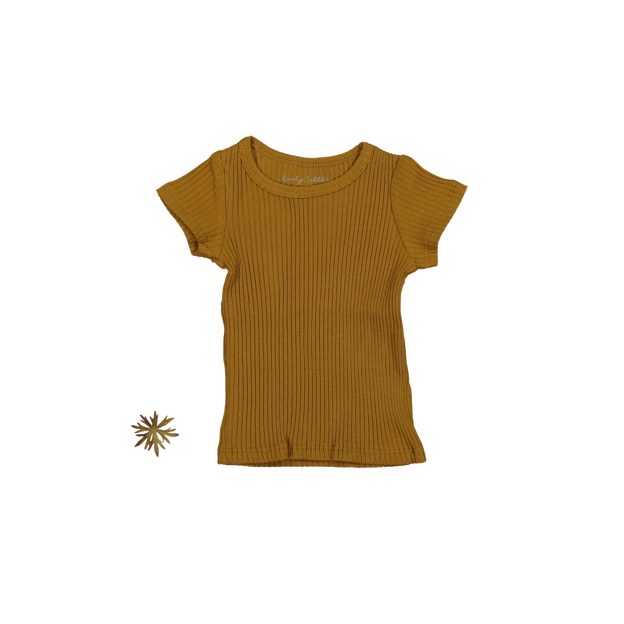 The Short Sleeve Tee - Cider Short Sleeve Tee Lovely Littles   