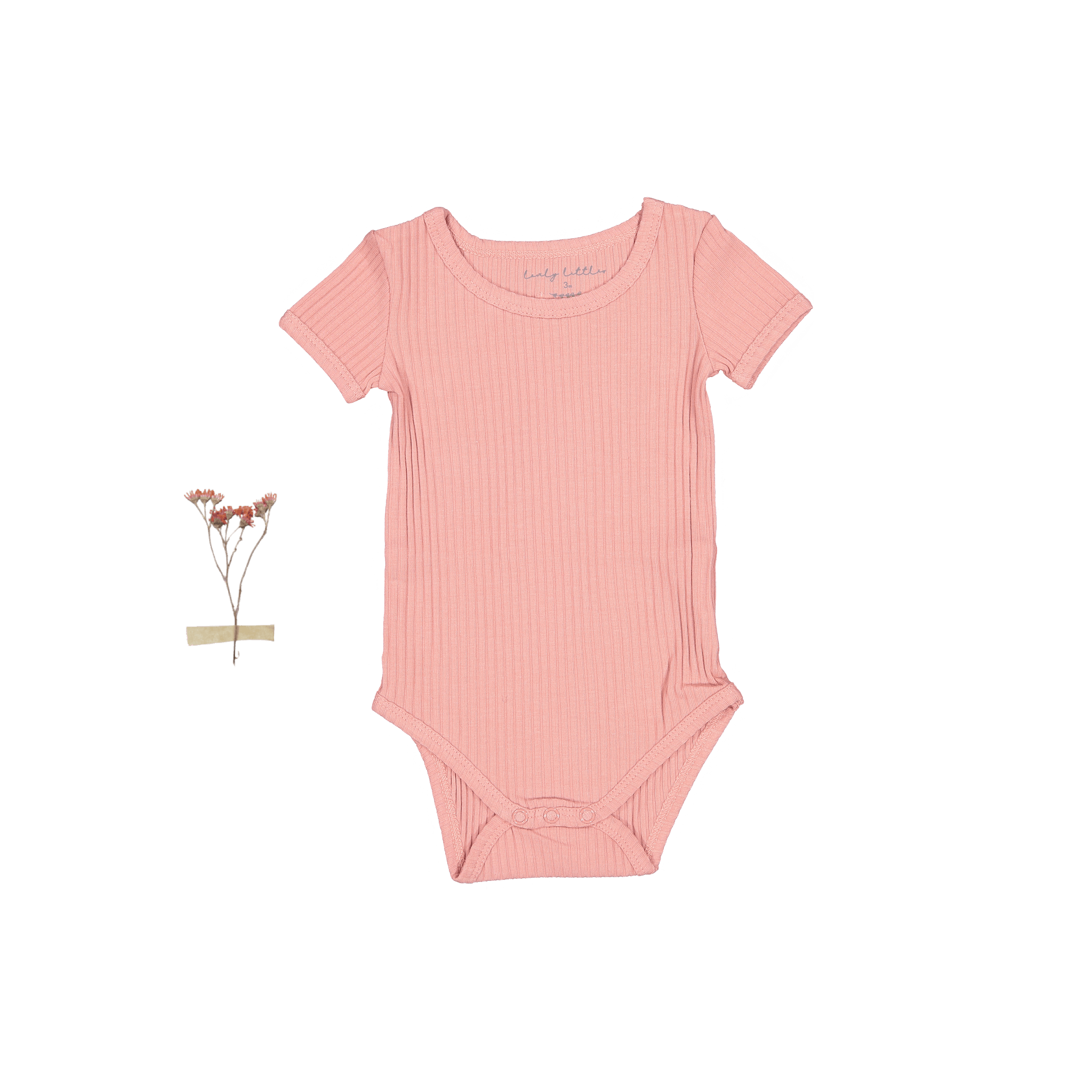 The Short Sleeve Onesie - Rose Short Sleeve Onesie Lovely Littles   